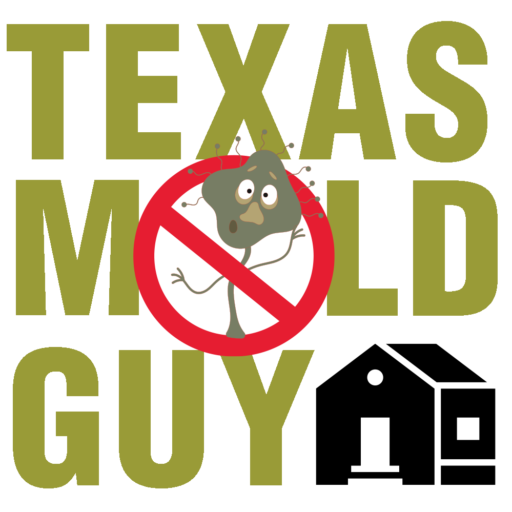 cropped-TEXAS-MOLD-GUY-LOGO.png
